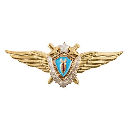 Классность ВВС но лётчик-штурман 1 класс(голубой щит,серебр.зв,мечи) 200.jpg