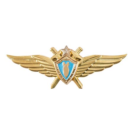 Классность ВВС но лётчик-штурман(голубой щит,серебр.зв,мечи) 200.jpg