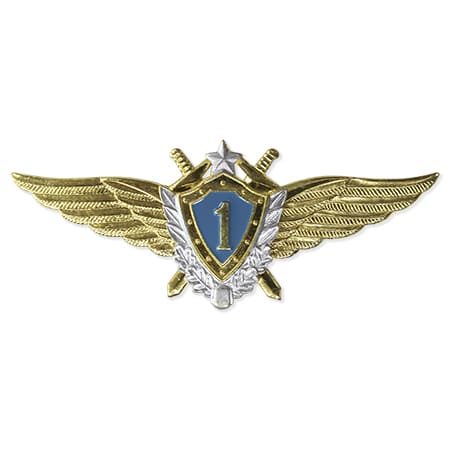 Классность ВВС новобр. 1 класс(голубой щит,серебр.зв,мечи) 200.jpg