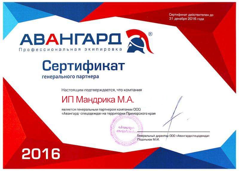 Сертификат генерального партнера "Авангард" 2016 г. 
