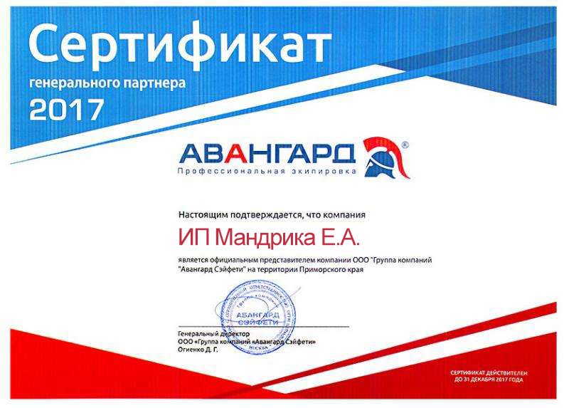 Сертификат генерального партнера "Авангард" 2017 г. 