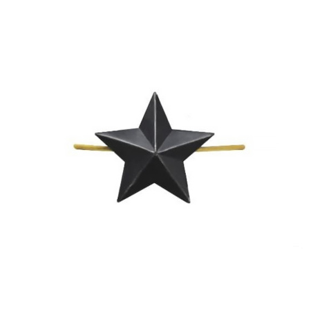 Звезда на погоны ФСИН чёрная15.jpg